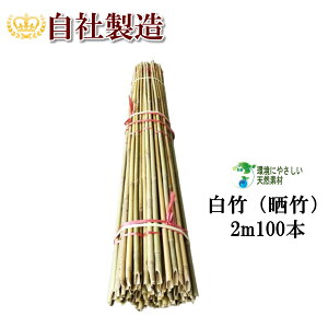 |iN|j2m 100{ VR| |x ݂ ͂ Y؂Ȃǂ