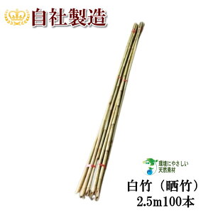 |iN|j2.5m 100{ VR| |x ݂ ͂ Y؂Ȃǂ