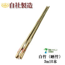 楽天市場】白竹 4mの通販