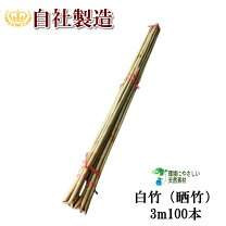 楽天市場】白竹 4mの通販