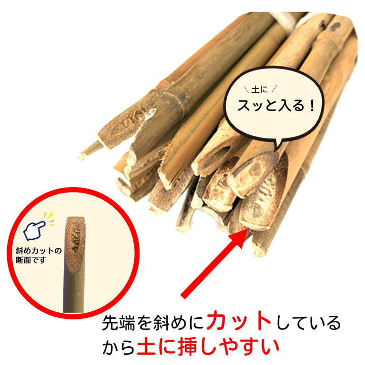 楽天市場】女竹 150cm 100本 農業用、園芸用の支柱として幅広くご利用 