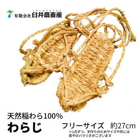 わらじ 草鞋 大人用 フリーサイズ 約27cm お祭り 伝統芸能 イベント 神事