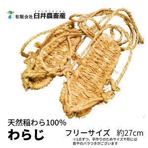 炶  lp t[TCY 27cm Ղ `|\ Cxg _