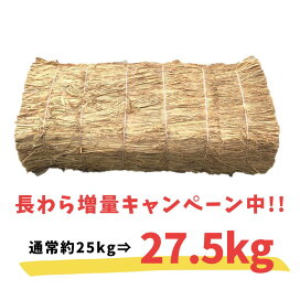 imgrc0098916971.jpg?fitin=272:272