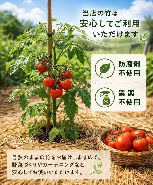 楽天市場】女竹 180cm 1000本 農業用、園芸用の支柱として幅広くご利用 