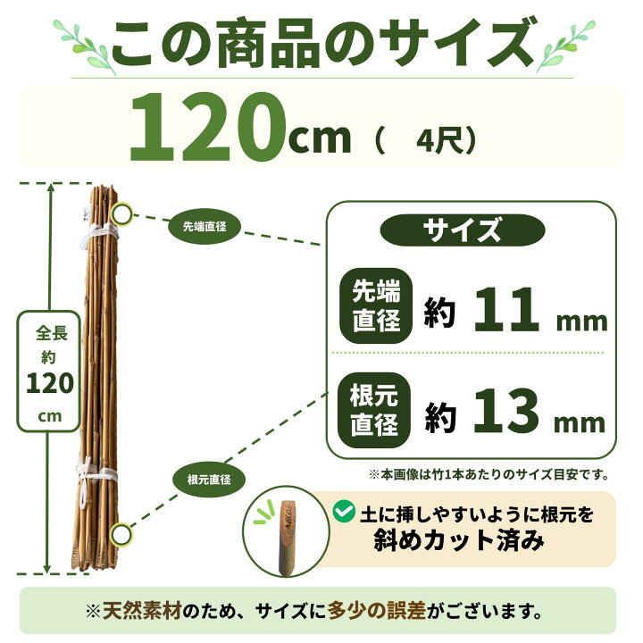 楽天市場】女竹 120cm 1000本 農業用、園芸用の支柱として幅広くご利用 