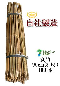 女竹 90cm 100本 篠竹 添え木 竹支柱 農業支柱 園芸支柱 測量用 天然竹 竹 支柱 篠竹