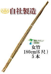 | 180cm 5{i|j _ƗpA|p̎xƂĕLp\ VR| | x |