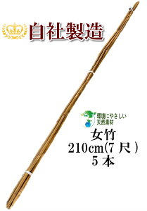 | 210cm 5{ _ƗpA|p̎xƂĕLp܂B | x |