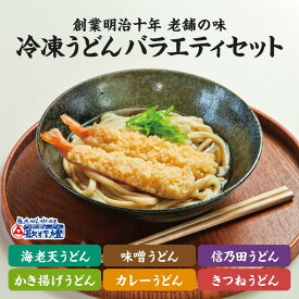 冷凍食品 うどん バラエティ6食セット冷凍うどん かき揚げ 海老天 きつね カレー 味噌 信乃田簡単 調理で 夜食 にも 便利な お取り寄せグルメ