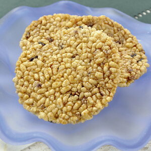 R{ (܍)ׂ  ԕ   gp  ݂ َq  yY ɂ