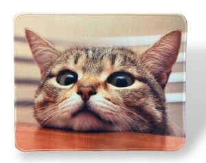 NekodaraK }EXpbh ˂ 21cm 26cm OєL vg ɂ PC }EXpbg