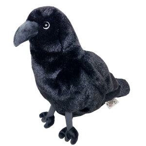 yBESTEVERzChAj}yP[X ʂ݃|[` M JX Crow 48129