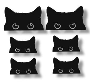 NekodaraK V[ L XebJ[ ˂ eq L 6Zbg  J[XebJ[ h lR [sAi]