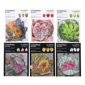 Alideco 180 V[ t[NV[ R[W f y[p[ fގ [X[gsAXebJ[ g[t̃e[} CO ؍ V[ Cpm[gfށALpi (caiyeji)