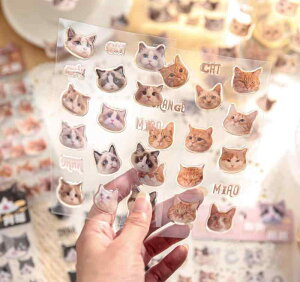 R[W f V[ t[NV[ XebJ[  蒠  h 킢  