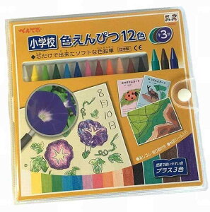 ���a���� �\�t�g�ȐF����҂� ���w�Z�F����҂� 12�F+3�F