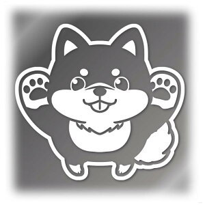 y݉zт Č JbeBOXebJ[όh{V[ oCNJ[XebJ[Č