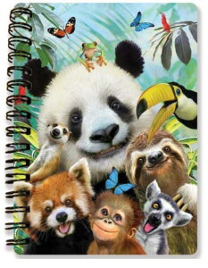 3Dm[giA6TCYj̒Ԃ̎Bʐ^