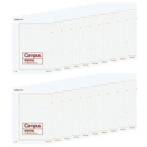 RN LpX ep c B4 ܂ 20 20pbNZbg P-10NX20