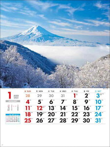 2026N1n܂ Ǌ|J_[ SG260 {όi 2026N