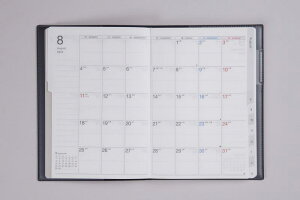 981 Tf}X[ WF X 2025Nx4n܂ jn܂ }X[ lCr[ B6