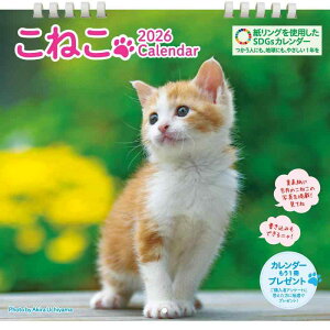 ˂J_[ 2026 Ǌ|iB4ό^j^߂b킢qLʐ^bZjEVEjE\lߋCbOESDGsΉGRJ_[ ([J_[])