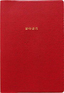 GR~[ }gJ 蒠 2025N 1n܂ B6 }X[ P^