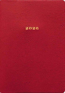 GR~[ }gJ 蒠 2026N 1n܂ B6 }X[ P^