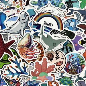 CmXebJ[ 100ZbglCꖟCmقуV[  V[ 킢 DIY f M^[  ]  XP[g gуm[g X[cP[X q w Mtg a v