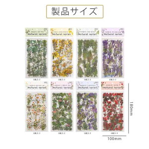 BOOHUQICH  V[ R[WV[  t[NV[ 48Zbg  蒠V[ R[W f XebJ[ h fR[VV[ 킢 ق