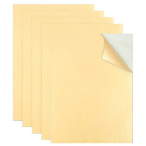 q CV[ a V[ A4TCY 5 CNWFbgvgΉ a XebJ[ x  炫ՂՂ