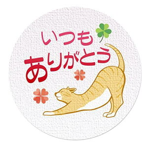 MtgV[ bsO V[ ˂ a3.2cm 50i5V[gj {