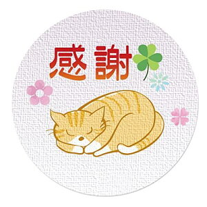 MtgV[ bsO V[ ˂ a3.2cm 50i5V[gj {