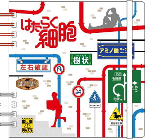 ͂炭זE XNGAOm[g IG4447