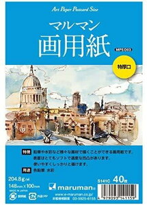 �}���}�� �G�莆�p�|�X�g�J�[�h ��������p�� 40�� S141C �y× 2 �� �z