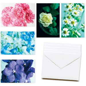 Fragsphere vʂ Ԃ̃|XgJ[h t 5 5Zbg nKLTCY 10×14.8cm { bZ[WJ[h O[eBOJ[h 莆 蕨 FPS-002A