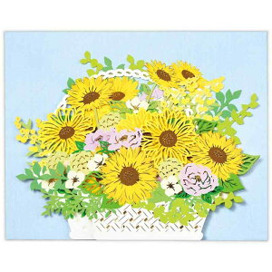 z[}[N T}[J[h |bvAbv  Ђ܂Ԃ 824976