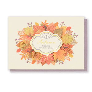 y bZ[W J[h H z gt [U[Jbg [t [N Jpj[ O[eBO TL[ 肪Ƃ  l nhCh  t Zbg j v[g