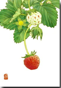 ay Ԃтƃ|XgJ[h  Gt1