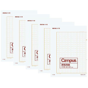 RN LpX ep c B4 l20x20 20 r 5Zbg P-10NX5