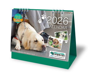 2026N{ӓ`eB[J_[ ^Cv KY-201