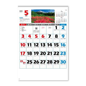 V{J_[ 2026N J_[ Ǌ| \Ei N\t NK420