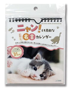 2026N jƂfGȓ߂薼J_[/L̂킢ʐ^ƈ̐ľtŖw tHgJ_[ [AYELICETNXV[t]