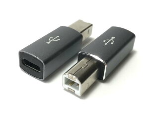 Access �y 2�Z�b�g �z �^�C�vC �ϊ��A�_�v�^ �O���[ USB C ���� �^�C�vB �� �^�C�vC ���X - �^�C�vB �I�X EC88GL2P