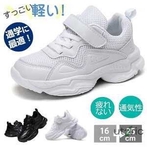 Xj[J[ fB[X Y LbY _X ^C ؍  jp lC jOV[Y _XV[Y Xj[J[ bV \  w EH[LOV[Y l y