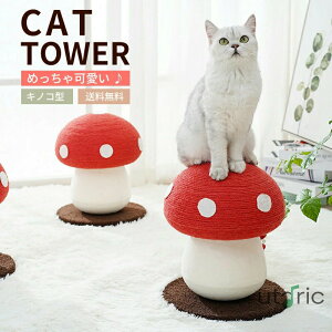 L Lbg^[ ܂Ƃ  LmR^L^[ Lp ܖ Lbg|[ L̂ ̂^ VRTCU   ϋv XgX X  u ȃXy[X 