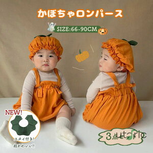 y[z_yV1ʁ^3_Zbg nEB ߑ q p[X ̎q ڂ j̎q RXv ߑ Ԃ J{` Tybg nEB[ xr[ Jbg\[  Vc 