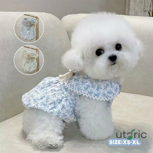  tėp s[X ԕ [X ^ ^ DOt 킢 Pl L[g ̎q ^Ngbv _炩 ̕ ybgEFA hbOEFA xXg pW} Lm 