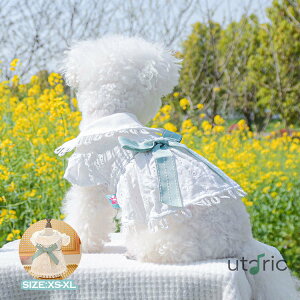 ybg s[X L Pl hX XJ[g [X  { Ȃ m t LOBe  vZXXJ[g   j LOp[eB[  y ^ 